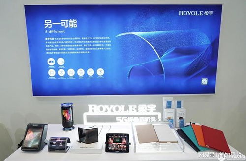 中國柔性屏巨頭倒塌 拒絕外界拯救背后的深層原因